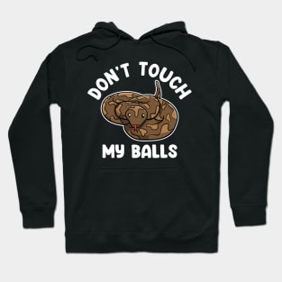 Don't Touch My Balls Hoodie